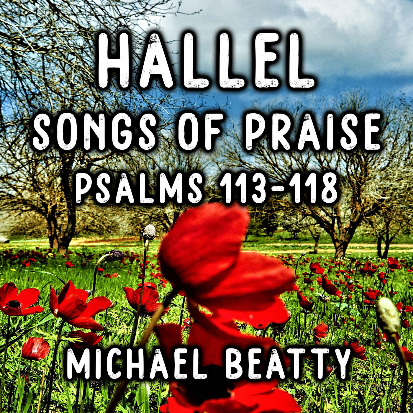 Hallel Songs of Praise | Michael Beatty | Christian Gospel Rock Guitar